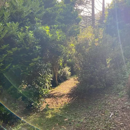 Casa vacanze O Chanto *