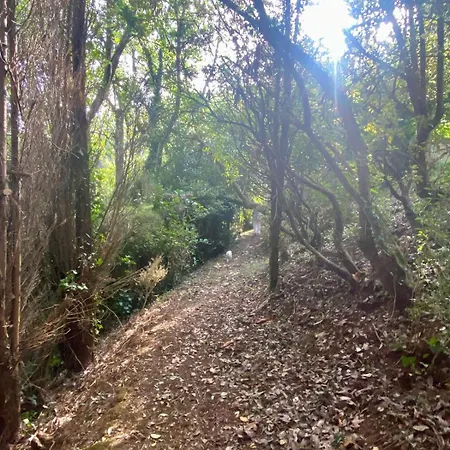 Nyaraló O Chanto