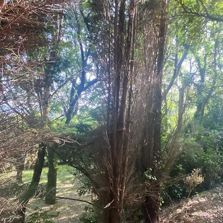 Nyaraló O Chanto Cedeira