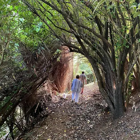 Casa vacanze O Chanto Cedeira