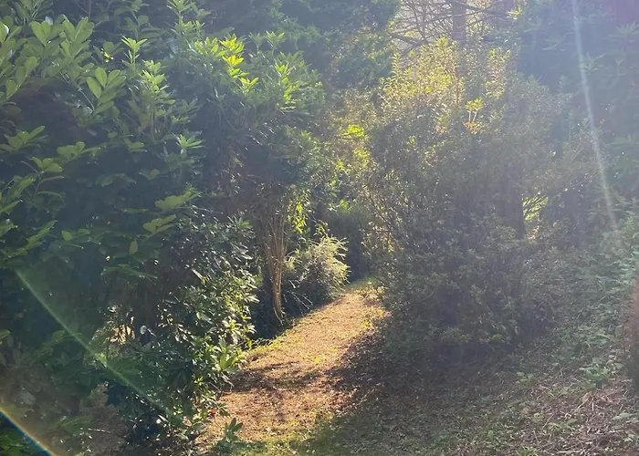 Сasa de vacaciones O Chanto *