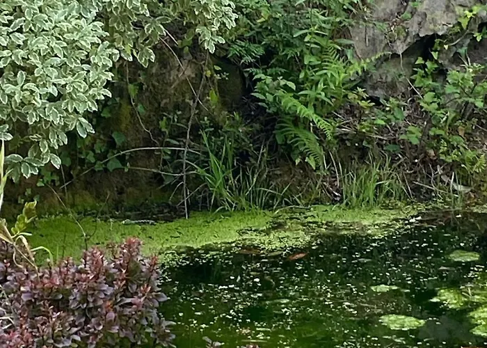 O Chanto Сasa de vacaciones