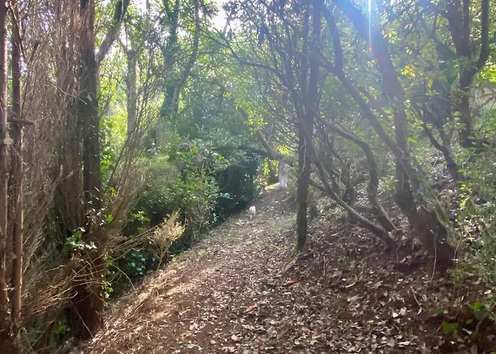 Сasa de vacaciones O Chanto