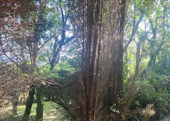 Сasa de vacaciones O Chanto Cedeira