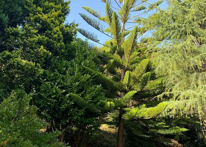 Сasa de vacaciones O Chanto