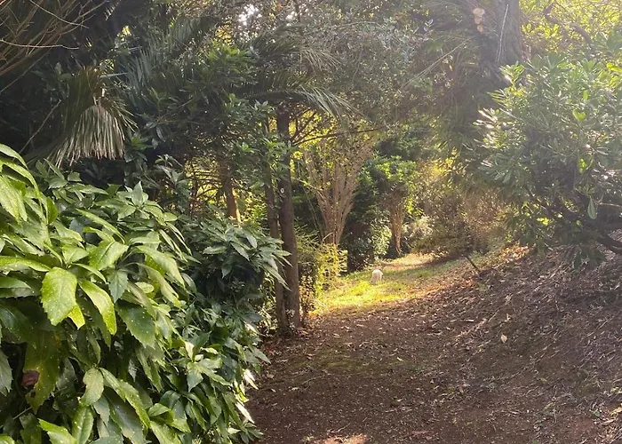 O Chanto Сasa de vacaciones *