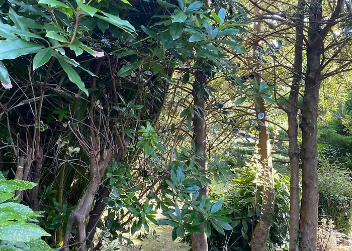 O Chanto Сasa de vacaciones Cedeira