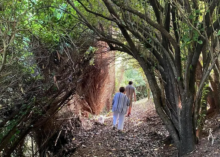 Сasa de vacaciones O Chanto Cedeira