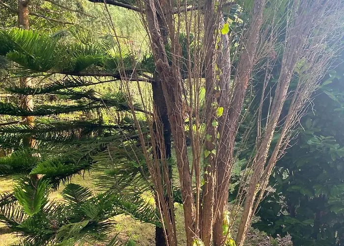 Сasa de vacaciones O Chanto *